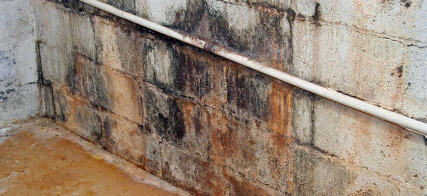Tri Span Presents a Basic Overview of How and When Mold Contamination Starts