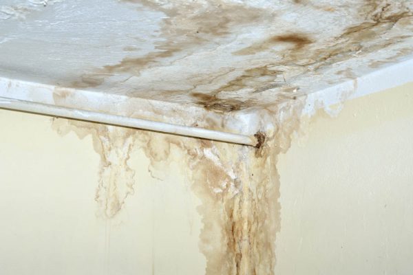 5 Places Mold Can Develop Due to a Leaking Roof